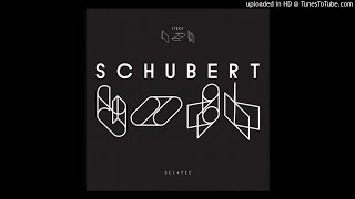 Schubert - Gork [Techno]