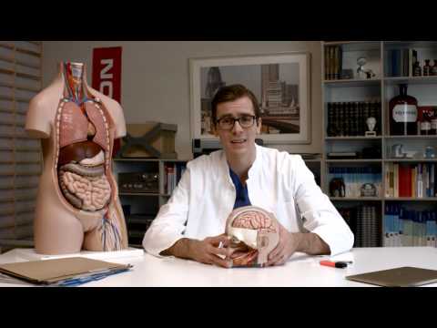 Heuschnupfen - woher kommt er und welche Symptome löst er aus?