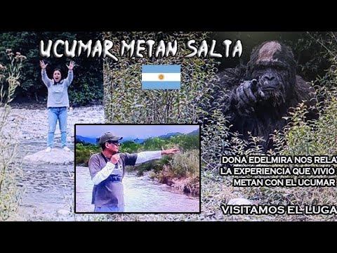 Una visitante de Buenos Aires relata un encuentro increible  en el río Las Conchas, en Metán (Salta)