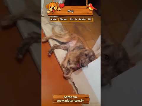 Vídeo de Meg