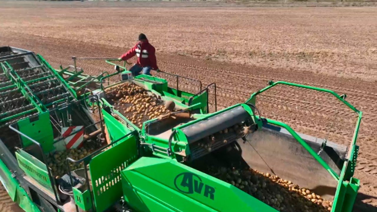 Время жаркое. Идет уборка урожая.