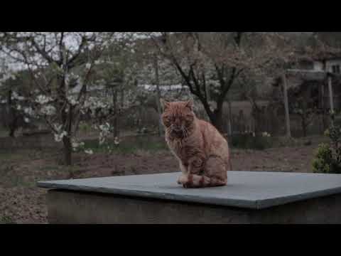 Izvoarele - descoperind liniștea Dobrogei