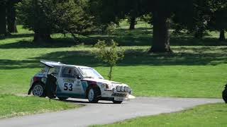 Peugeot 205 GTi at Weston Park