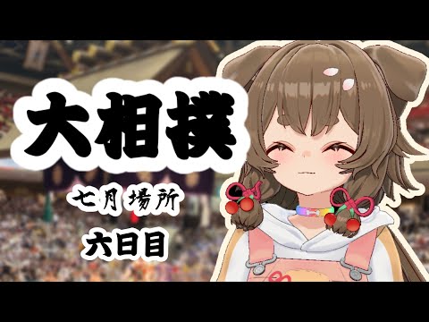 【大相撲/SUMO】7月場所 六日目🐕【出羽姫ぽわぬ】