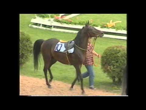 Nagroda Ofira - 22.05.1996 - Kishan (Santhos - Kithara)