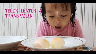 Download lagu NISA HABIBIE Membuat Telur Lentur & Transparan💙VINEGAR & EGG mp3 Download lagu NISA HABIBIE Membuat Telur Lentur & Transparan💙VINEGAR & EGG mp3