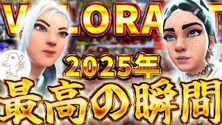【総集編】トロール盛りだくさんVALORANT2025最高の瞬間【VALORANT】