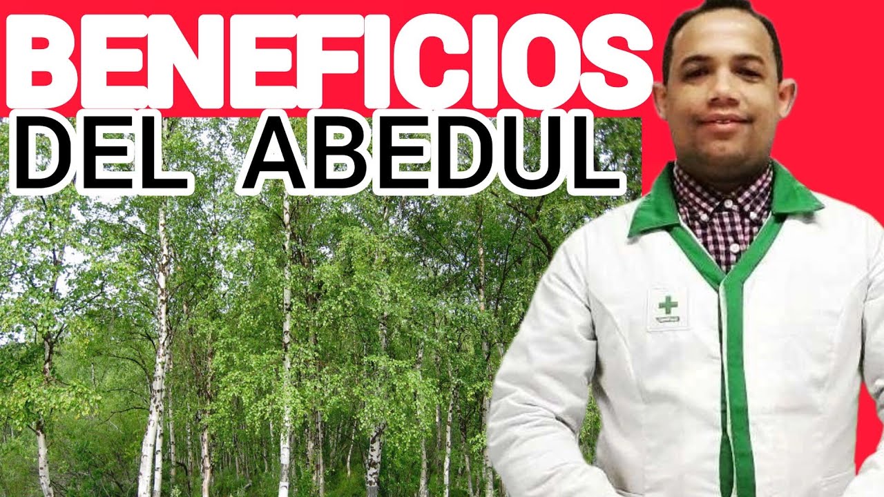 Watch ¿Para qué sirve el Abedul Now ¿Para qué sirve el Abedul