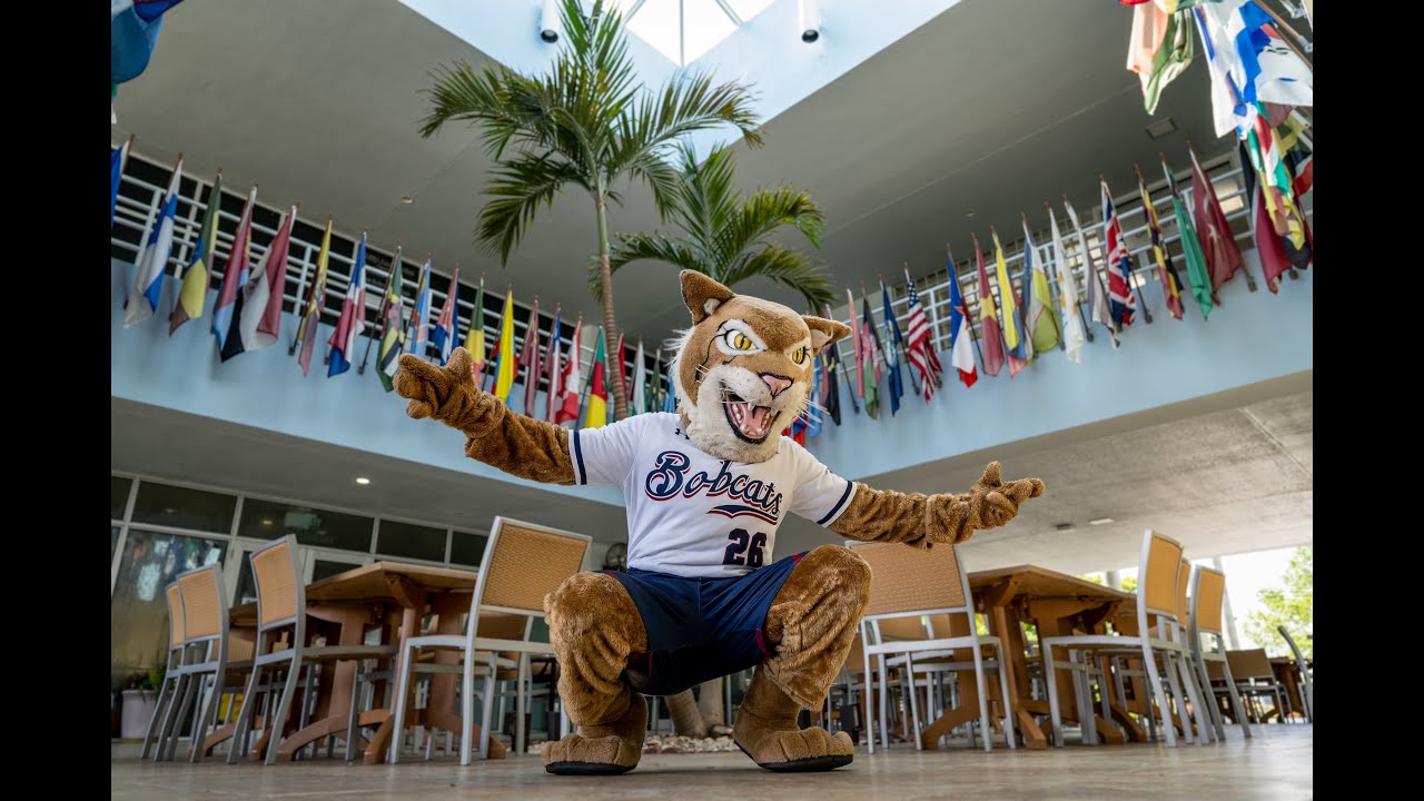 How to Set Up Your STU Tuition Payment Plan