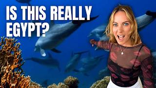 We Found Wild Dolphins in Hurghada Egypt | Red Sea Adventure
