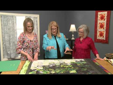 The Chicken Quilt Featuring Charlotte Angotti and Debbie Caffrey, part 3