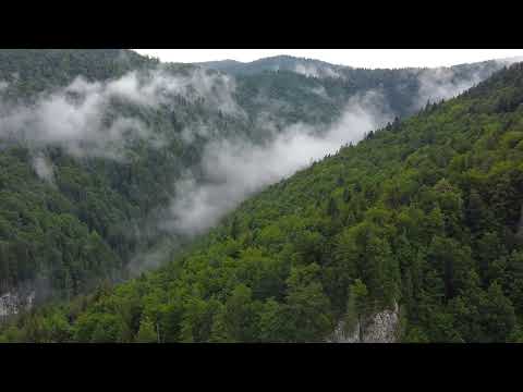 59 seconds of DRONE FOOTAGE - Casa de piatra - Apuseni