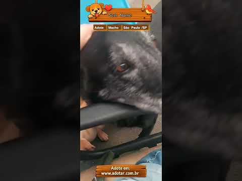 Vídeo de Sem Nome