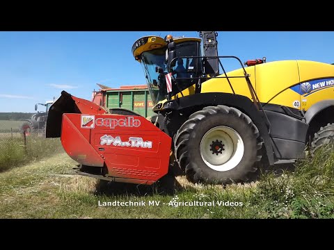 New Holland - Fendt - MB - +++ / GPS Häckseln - Chopping WCS  2020  pt.1