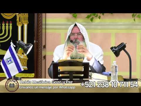 download lagu mp3 mp4 Www Gozo Y Paz, download lagu Www Gozo Y Paz gratis, unduh video klip Www Gozo Y Paz