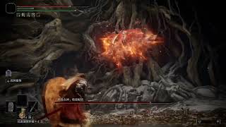 [閒聊] 法環 後面還有比女武神強的BOSS嗎