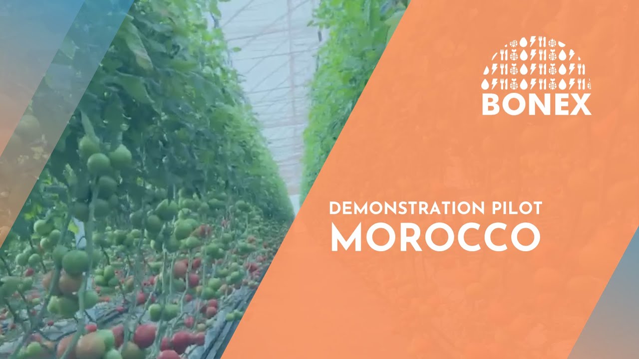 BONEX Demonstration Pilot in Morocco