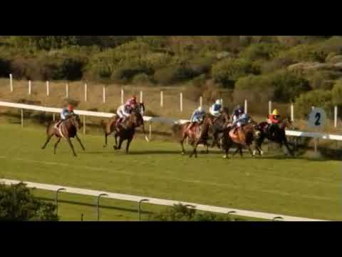 TRIP OF FORTUNE - 2021 World Sports Betting Somerset 1200 (L)