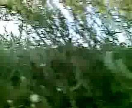 FEDERICO FRANCHI - Cream