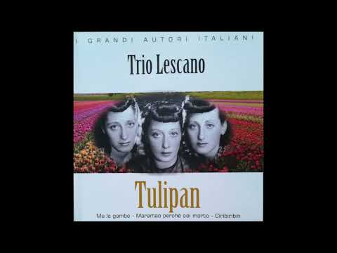 E' Arrivato l'ambasciatore - Trio Lescano & Nuccia Natali