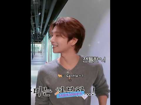 not joshua said that they should be calm and gentle 😭😆🤭 #seventeen #joshua #jeonghan