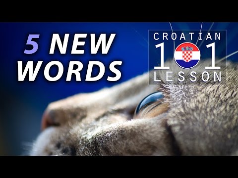 005 📚 5 New Words (Part 1) 🇭🇷 Croatian Language 101 🇭🇷 Learn Croatian