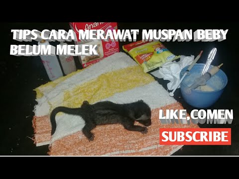 Peningkatan anggota perceraian Forum untuk memperbesar penis Anda