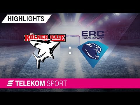 Kölner Haie - ERC Ingolstadt | 35. Spieltag, 18/19 | Telekom Sport