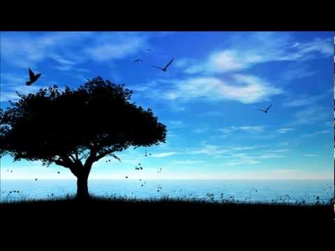 GregCookeMusic - Supposed To Be Ft. Nori