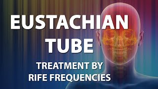 Eustachian Tube (Auditory dysfunction) - RIFE Frequencies Treatment - Quantum Medicine Bioresonance