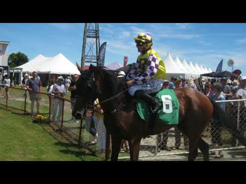 Value Betting Horse Racing System #bettingsystem #horseracingbetting