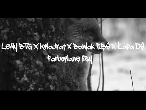 Lewy BTG x Kwadrat x Baniak EBS x Łapa DS - Farbowane lisy