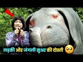 OKJA 2017 Movie Hindi Explained Okja Hindi Dubbed Movie Hollywood Hindi Movie