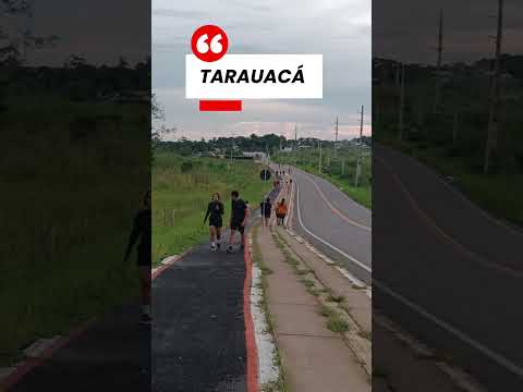 TARAUACÁ #SHORTS