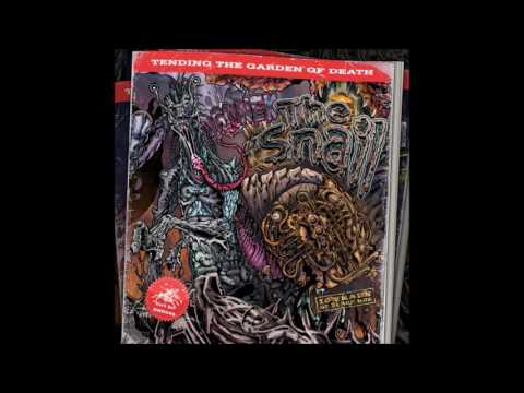 Ogonek - Pain (Bandcamp Exclusive)