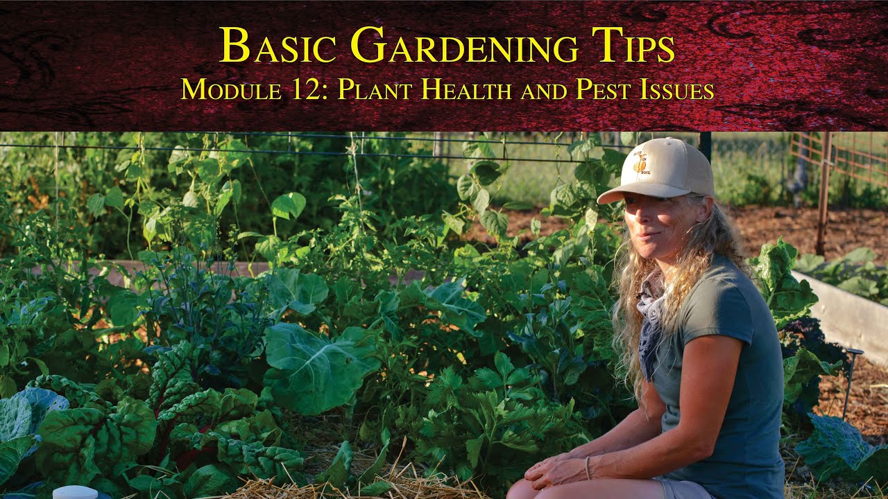 Basic Gardening Tips - Module 12: Plant Health and Pest Issues
