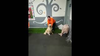 Recuerdos de nuestra amiga Bambu