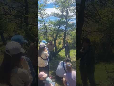 MICOTURISMO #ciencia y #turismo en SIERRA COLORADA || #trevelin #chubut #patagonia #viralvideo