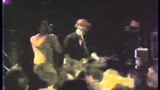 Peter and the Test Tube Babies - The Jinx