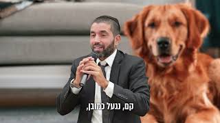 הכלב שהציל אותי 🐕 הרב שניר גואטה בסיפור מיוחד - עם כתוביות בעברית (הרב שניר גואטה) - התמונה מוצגת ישירות מתוך אתר האינטרנט יוטיוב. זכויות היוצרים בתמונה שייכות ליוצרה. קישור קרדיט למקור התוכן נמצא בתוך דף הסרטון