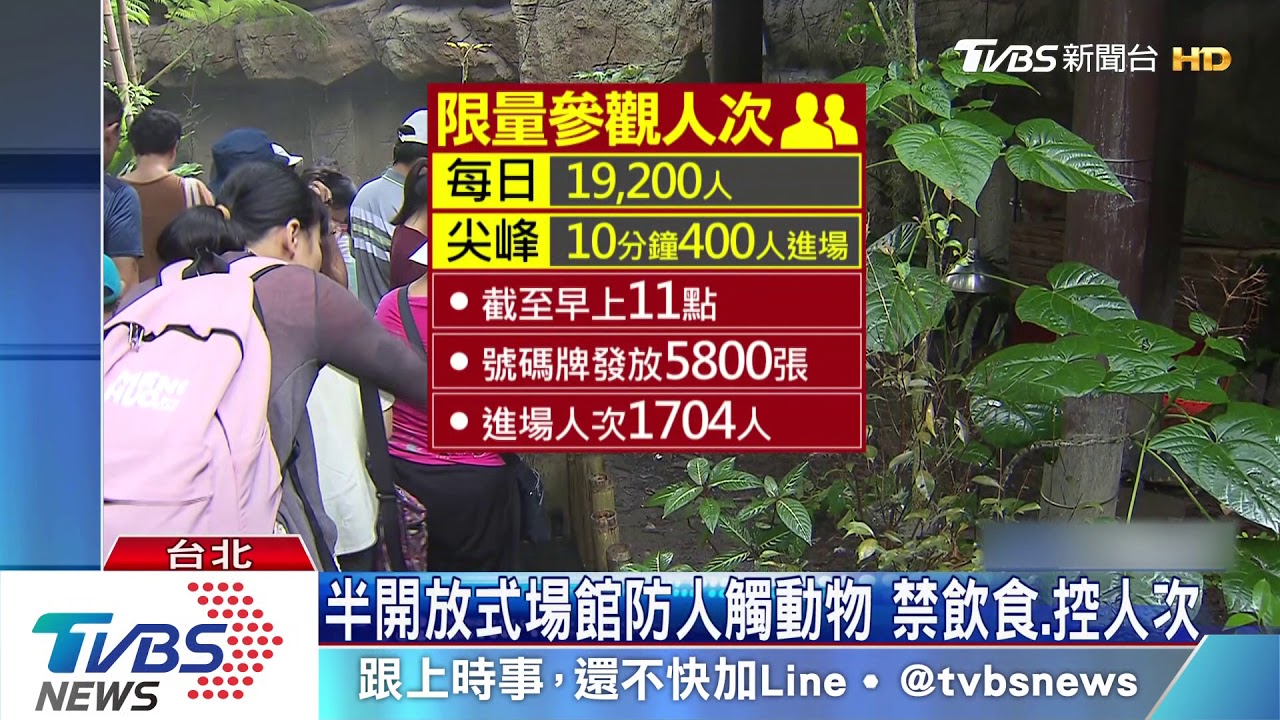 半開放式場館防人觸動物　禁飲食、控人次