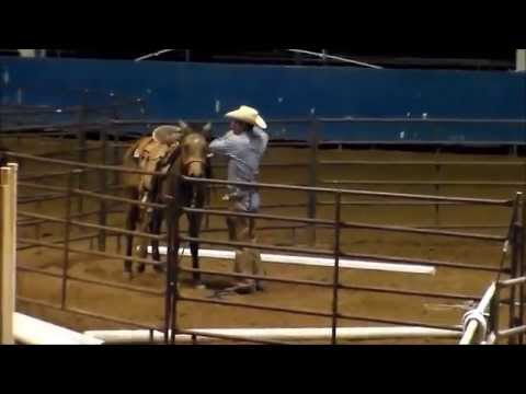 Colt Starting Challenge Day 1 Keith Messick You Tube