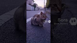 Just walking.