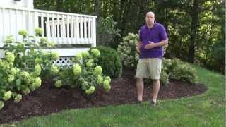 Front Yard Landscape Design Ideas - Trumbull CT Landscape Designer