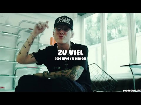 [FREE] edo saiya x t-low type beat 2022 - "ZU VIEL"