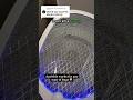 What If You Touch The Eletric Field?  #mosquito #homeshell