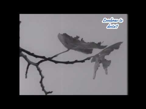 Carlos Ramos -  O Amor é Louco (1957)