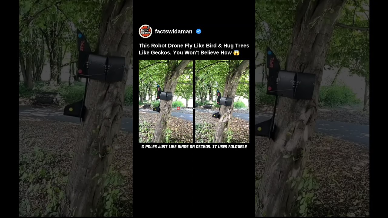 This Robot Drone Fly Like Bird & Hug Trees Like Geckos. Know How 😱 #robot #drone #shorts #facts