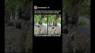 This Robot Drone Fly Like Bird & Hug Trees Like Geckos. Know How 😱 #robot #drone #shorts #facts