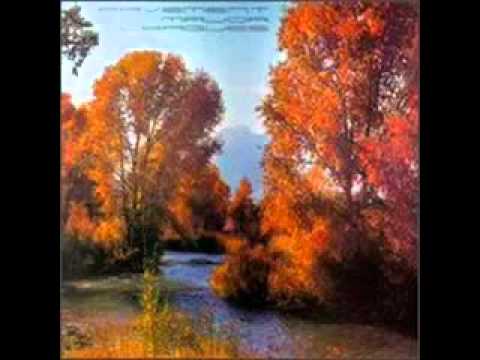Pavement- The Killing Moon (Echo and The Bunnymen Cover).mp4 video thumbnail